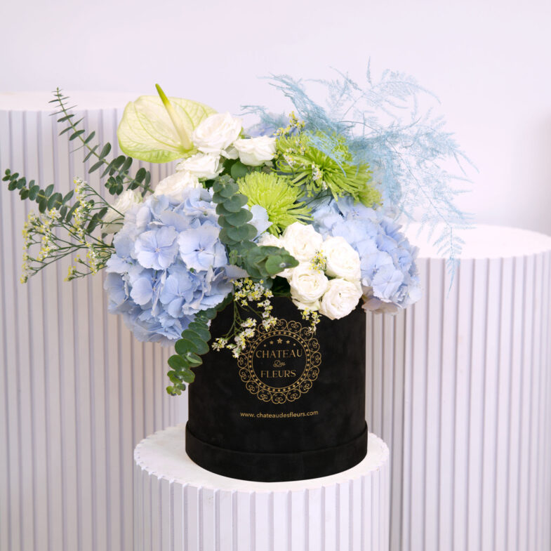 blue-hydrangea-in-box